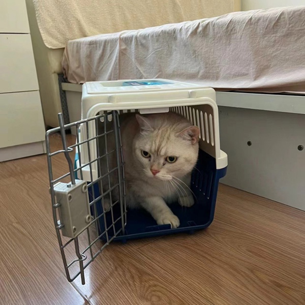 安全到家.jpg