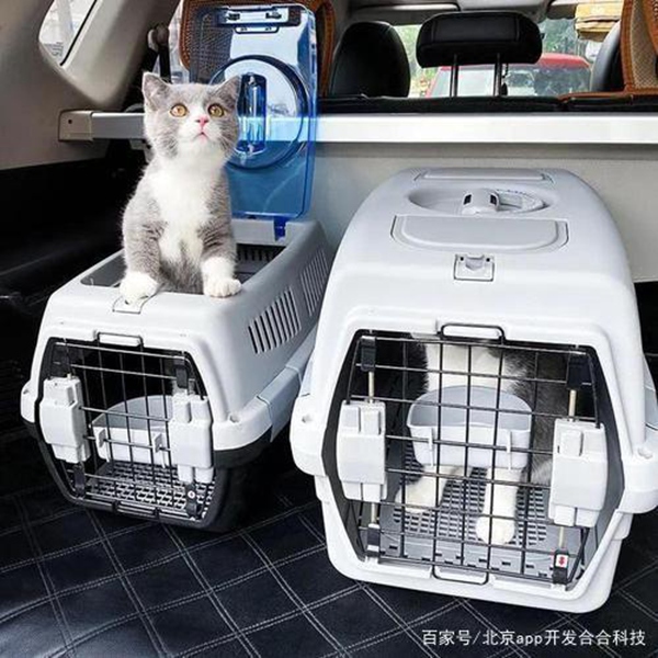 猫猫托运 (4).jpg
