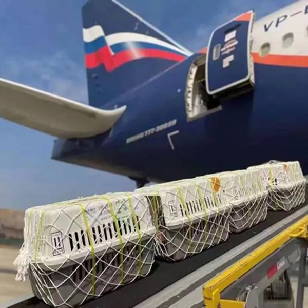航空托运.jpg